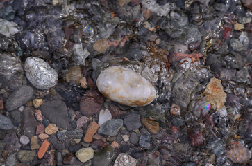 white and multicolored stones at the bottom of a stream under water with bubbles on a sunny day
