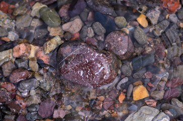 There are many colorful stones at the bottom of the stream