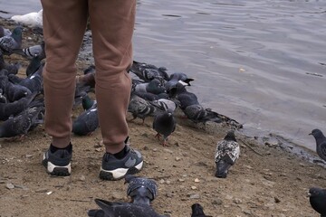 Feet Man To Sneakers And Brown Pants Who Feeds Pigeons On Sandy Riverbank During Vacation As Concept Of Outdoor Activities And Taking Care Of Wild Animals