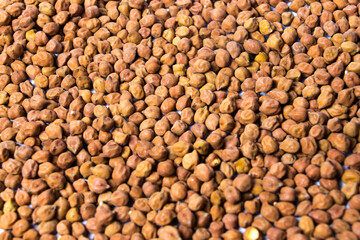 Organic Brown Chickpeas. Black chickpeas, also known as kala chana, Bengal gram,Egyptian pea.