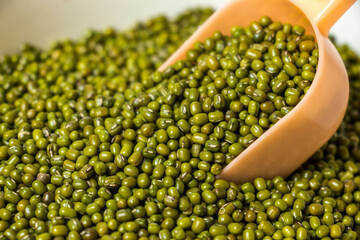 Closeup of Front view of Green Moong Dal beans in a scoop. The mung bean or green gram (Vigna radiata).