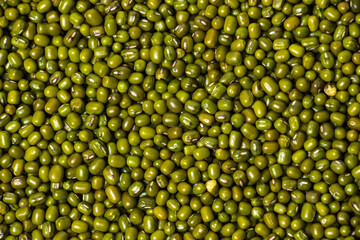 Closeup Flatlay of Green Moong Dal beans. The mung bean or green gram (Vigna radiata).