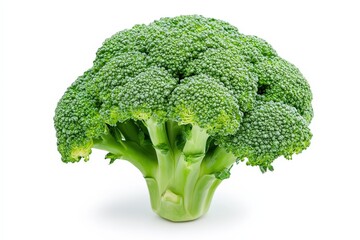 Fresh green broccoli vegetable isolated against a plain white background