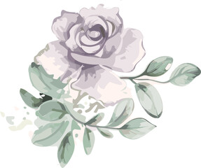 Fototapeta premium white flower watercolor floral elegant illustration design set