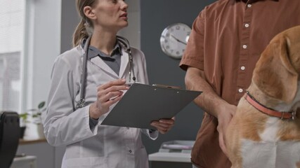 Adorable beagle dog sitting on examination table in clinic while female veterinarian holding clipboard and consulting pet owner during medial checkup
