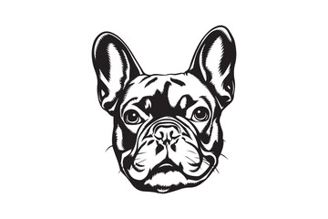 bulldog Black and White Vector