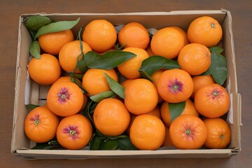 Fresh Juicy Oranges in Cardboard Box Crate