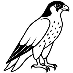 Fototapeta premium Stunning falcon vector illustration, perfect for digital designs, prints, and branding.