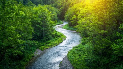 Obraz premium Serene River Winding Through Lush Green Forest Nature Photography
