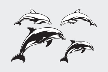 dolphin Black and White Vector
