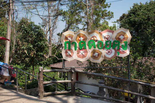 Kad Doi Tung local market at Mae Fah Luang Garden in Chiang Rai, Thailand
