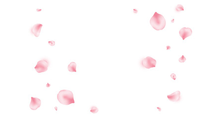 Sakura tree flower frame. Cherry blossom background. Japan spring border. Pink rose petal flying. Beauty spa product. Natural cosmetic decor. Valentine romantic card. 8 March. Vector illustration