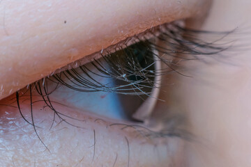 Macro of eye black color
