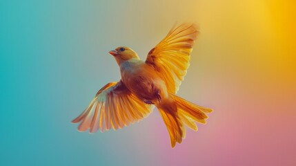 Obraz premium Yellow bird flying in colorful gradient background