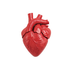 Anatomical 3D Rendering of Human Heart with Detailed Features