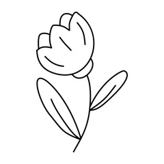 Simple flower in doodle style, linear, isolated on white background