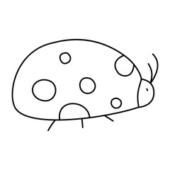 Ladybug in doodle style, linear, isolated on white background