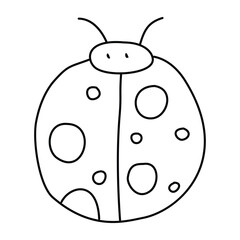 Ladybug in doodle style, linear, isolated on white background