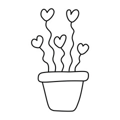 Doodle plant with hearts in a flowerpot