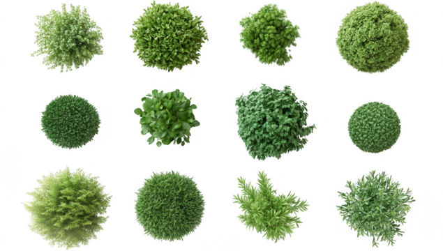 various spherical green plants arranged in a grid showcasing different textures and shades of green ideal for use in design landscaping or nature-related projects