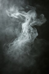 Soft gray mist elegantly dances on a rich dark canvas, forming a captivating juxtaposition.