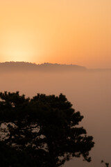 Aufstieg zur Gamrigaussicht, Sächsische Schweiz, Sonnenaufgang, Golden Hour 42