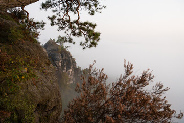 Aufstieg zur Gamrigaussicht, Sächsische Schweiz, Sonnenaufgang, Golden Hour 39