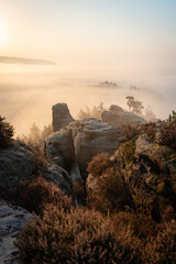 Aufstieg zur Gamrigaussicht, Sächsische Schweiz, Sonnenaufgang, Golden Hour 30