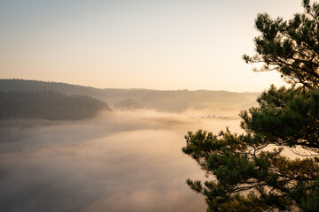 Aufstieg zur Gamrigaussicht, Sächsische Schweiz, Sonnenaufgang, Golden Hour 24