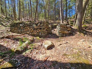 Ruins of Mill Site in the Forest