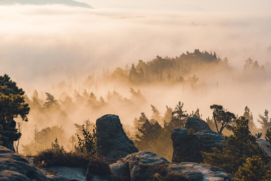 Aufstieg zur Gamrigaussicht, S&auml;chsische Schweiz, Sonnenaufgang, Golden Hour 14