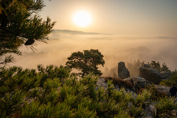 Aufstieg zur Gamrigaussicht, Sächsische Schweiz, Sonnenaufgang, Golden Hour 9