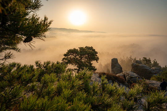 Aufstieg zur Gamrigaussicht, S&auml;chsische Schweiz, Sonnenaufgang, Golden Hour 9
