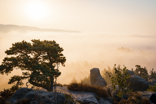 Aufstieg zur Gamrigaussicht, S&auml;chsische Schweiz, Sonnenaufgang, Golden Hour 8