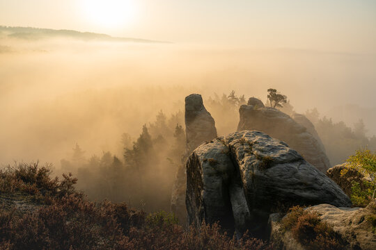 Aufstieg zur Gamrigaussicht, S&auml;chsische Schweiz, Sonnenaufgang, Golden Hour 6