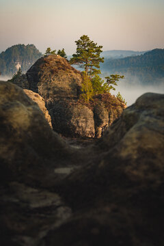 Aufstieg zur Gamrigaussicht, S&auml;chsische Schweiz, Sonnenaufgang, Golden Hour 5