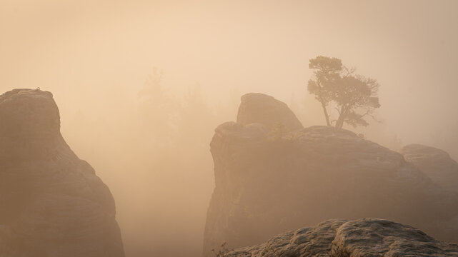 Aufstieg zur Gamrigaussicht, S&auml;chsische Schweiz, Sonnenaufgang, Golden Hour 2