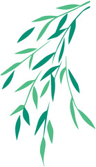 Willow leaves during Qingming Festival