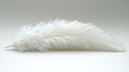 soft white feather lies peacefully on a smooth surface, highlighting its intricate textures and fine details. feathers pristine appearance evokes a sense of calm and simplicity