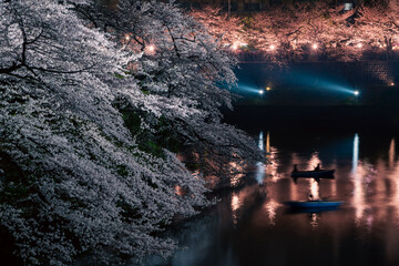 千鳥ヶ淵の夜桜