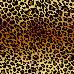 leopard  skin background for design