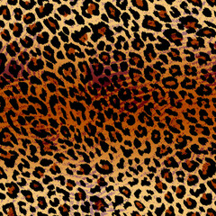 leopard  skin background for design