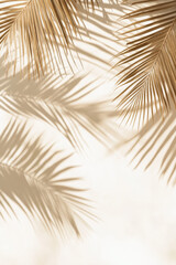 Obraz premium Palm leaves with soft shadows on pastel backgrounds for natural summer themes, wellness branding, and tropical design projects
