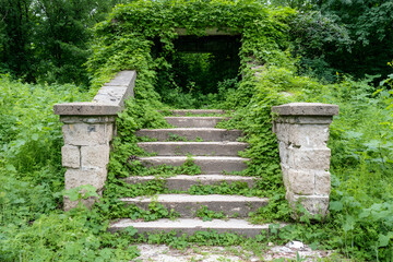 Overgrown stone steps leading to a hidden path in a lush forest