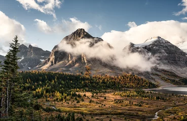 Selbstklebende Fototapeten Rocky mountains with fog and blue sky on autumn forest at Assiniboine provincial park © Beautiful Natures