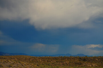 Fototapeta premium Landscape Sonora Desert Arizona