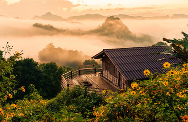 Golden sunrise over wooden homestay with foggy and Tree Marigold blooming in countryside at Ban Jabo traditional village
