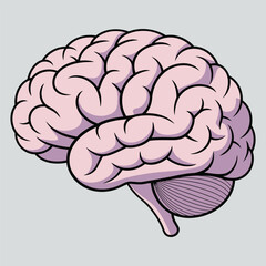 Detailed Human Brain Vector – Neuroscience and Medical Illustration