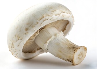 Close-up of a White Button Mushroom on a White Background