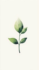 A delicate watercolor illustration of a single green leaf branch against a soft white background, symbolizing nature and tranquility.